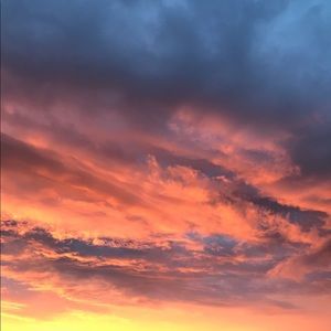 Meet your Posher, Lexi